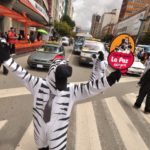 This zebra directing traffic is not a joke. It is one of hundreds of city employees saving lives while making streets in La Paz, Bolivia friendlier for pedestrians. Photo via oneillinstituteblog.org.
