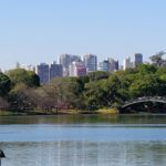 Help for São Paulo’s Complex Water Woes: Protect and Restore Forests