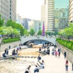 Nature-Based Solutions in Cities are the Future of the Fight Against Climate Change. Here's How to Fund Them.